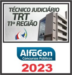 TRT 11ª REGIÃO - AM/RR (TÉCNICO JUDICIÁRIO - ÁREA ADMINISTRATIVA) PÓS EDITAL