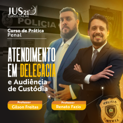 Prática em Atendimento em delegacia e audiência de custódia