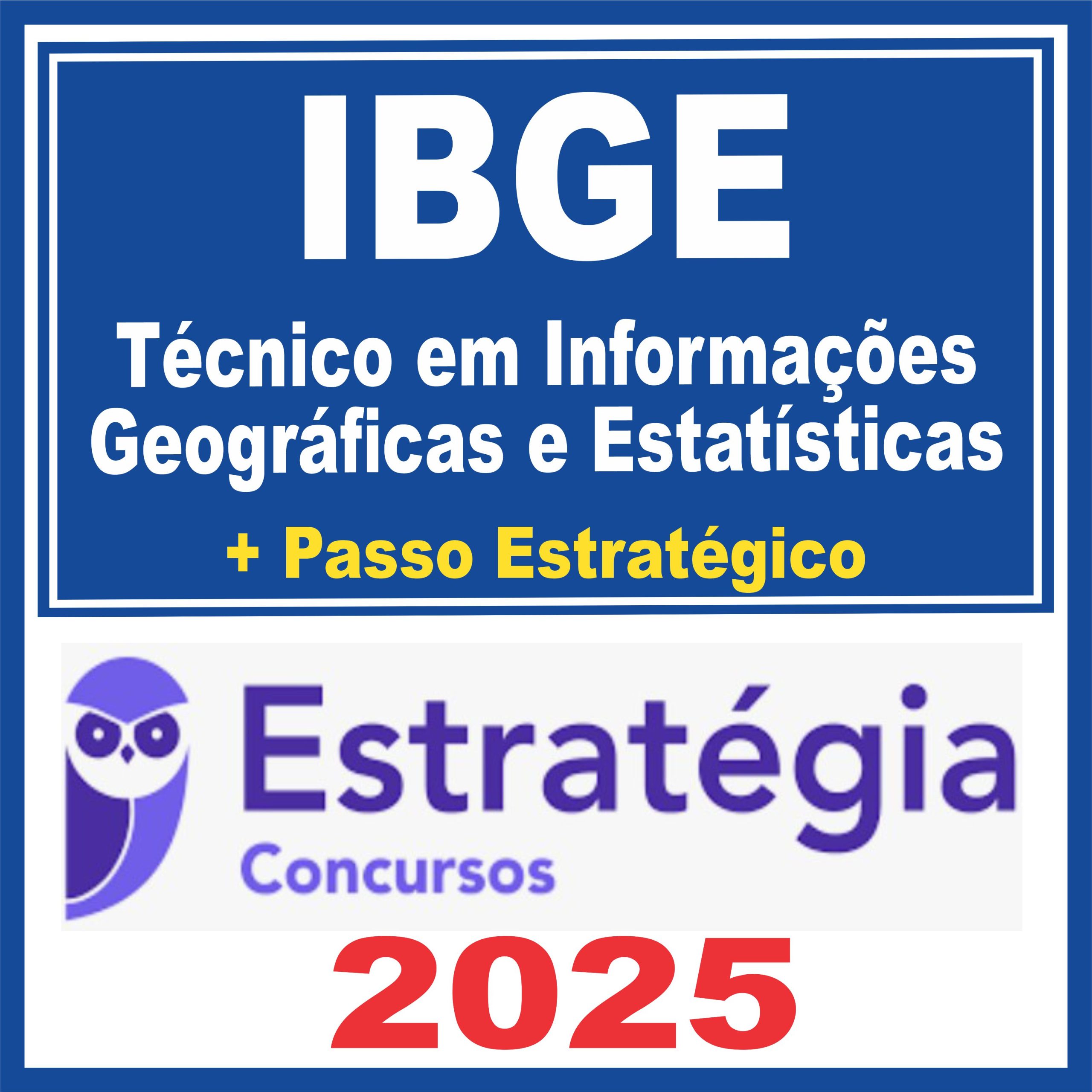 ibge-tec-info-geo-est1